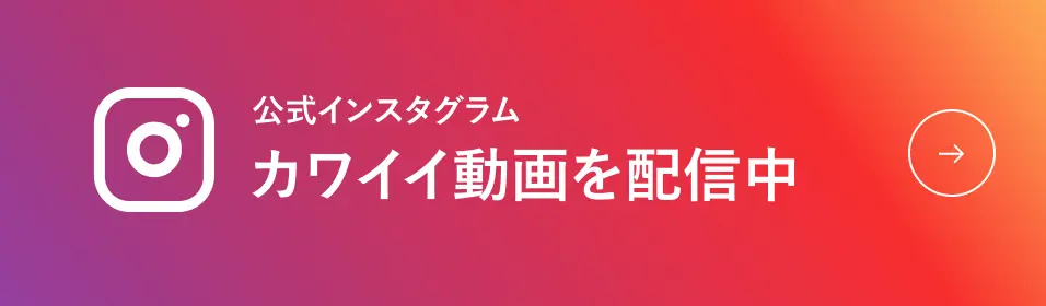 公式インスタグラム